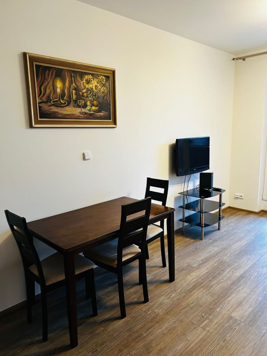 1 bedroom with open-plan kitchen flat to rent, 55 m², Pod Harfou, Prague, Prague 1 bedroom with open-plan kitchen flat to rent, 55 m², Pod Harfou, Prague, Prague