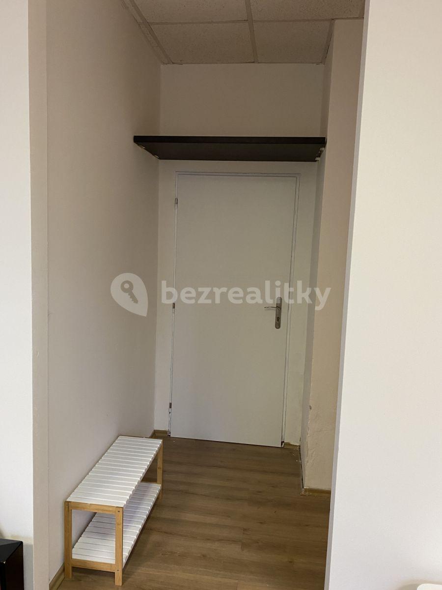 Studio flat to rent, 30 m², U Pekařky, Prague, Prague