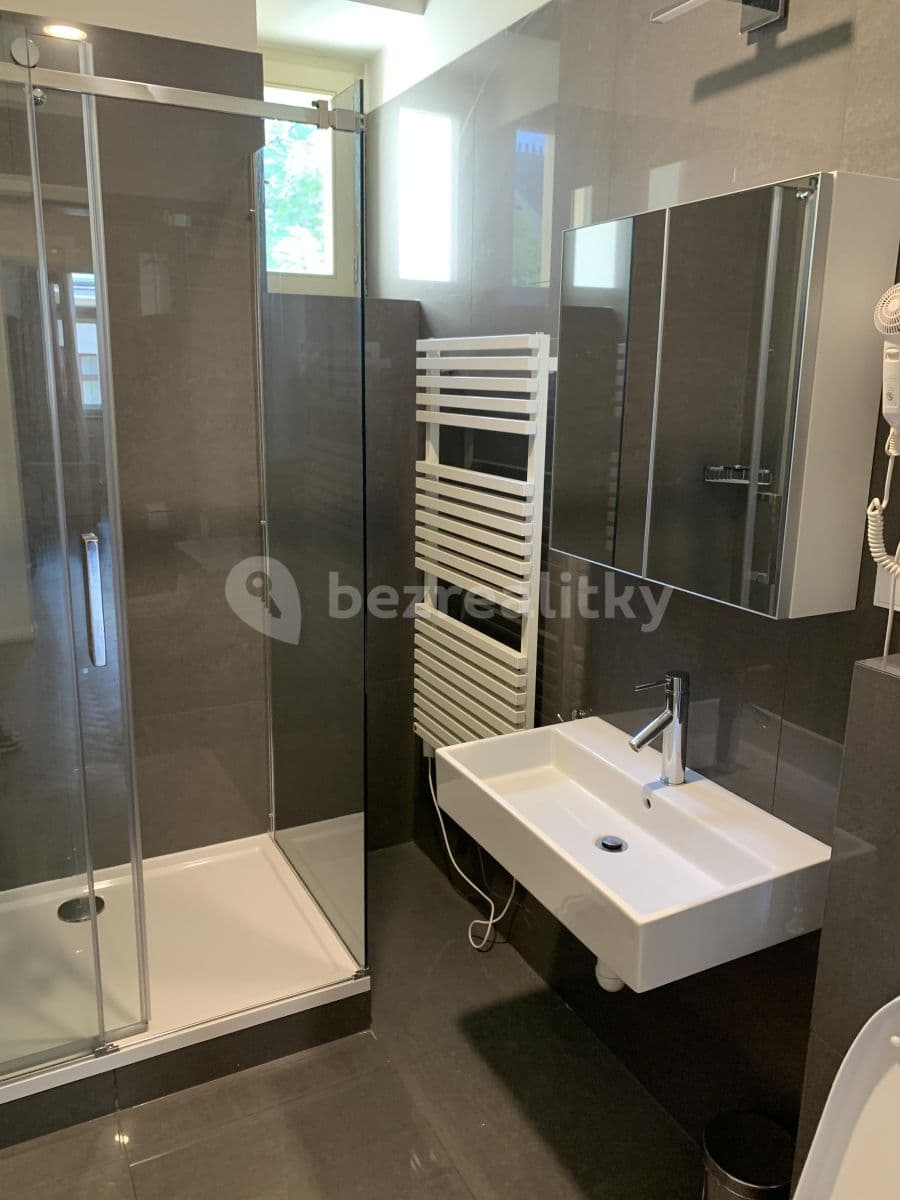 1 bedroom with open-plan kitchen flat to rent, 45 m², Staropramenná, Prague, Prague 1 bedroom with open-plan kitchen flat to rent, 45 m², Staropramenná, Prague, Prague