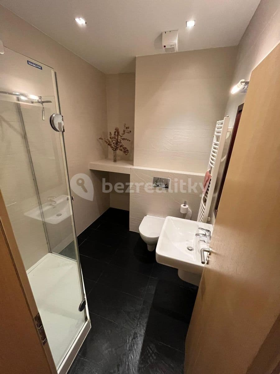 1 bedroom with open-plan kitchen flat to rent, 47 m², U reálky, Olomouc, Olomoucký Region 1 bedroom with open-plan kitchen flat to rent, 47 m², U reálky, Olomouc, Olomoucký Region