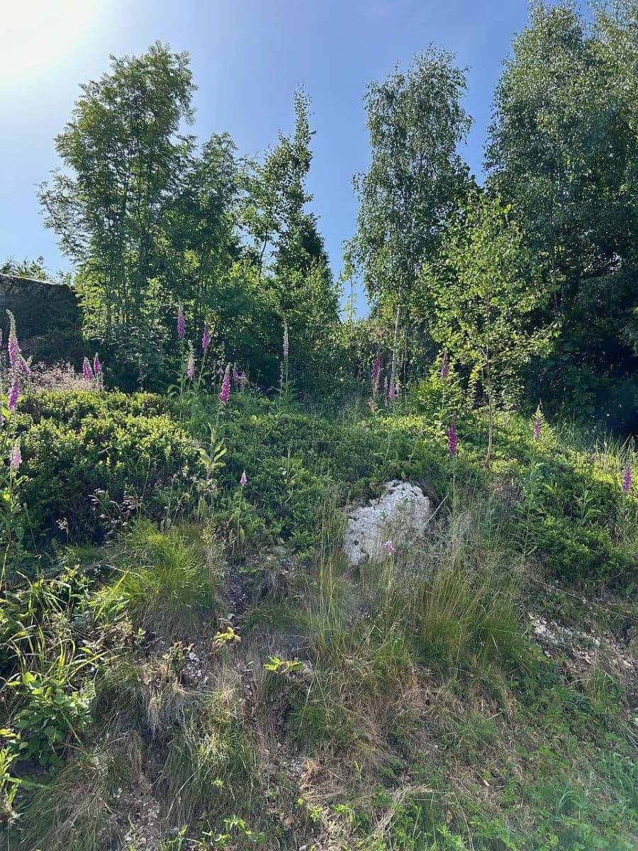 recreational property to rent, 0 m², Karlova Studánka, Moravskoslezský Region recreational property to rent, 0 m², Karlova Studánka, Moravskoslezský Region