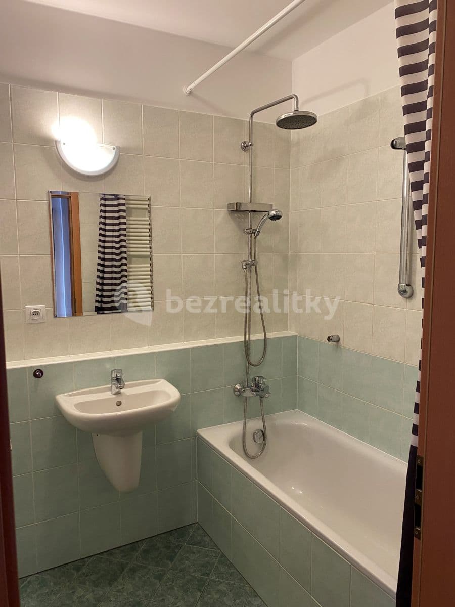 1 bedroom with open-plan kitchen flat to rent, 53 m², Na Císařce, Prague, Prague 1 bedroom with open-plan kitchen flat to rent, 53 m², Na Císařce, Prague, Prague