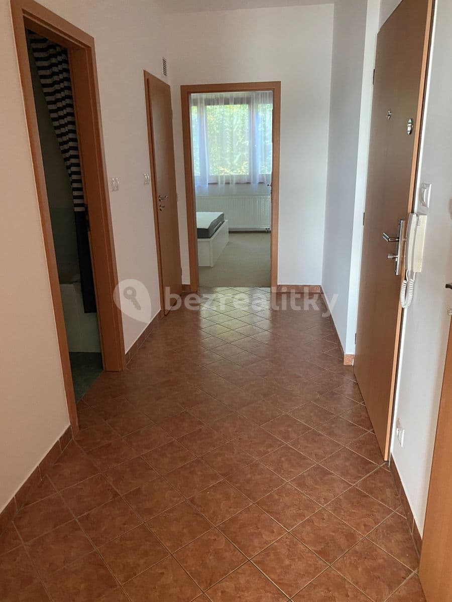 1 bedroom with open-plan kitchen flat to rent, 53 m², Na Císařce, Prague, Prague 1 bedroom with open-plan kitchen flat to rent, 53 m², Na Císařce, Prague, Prague