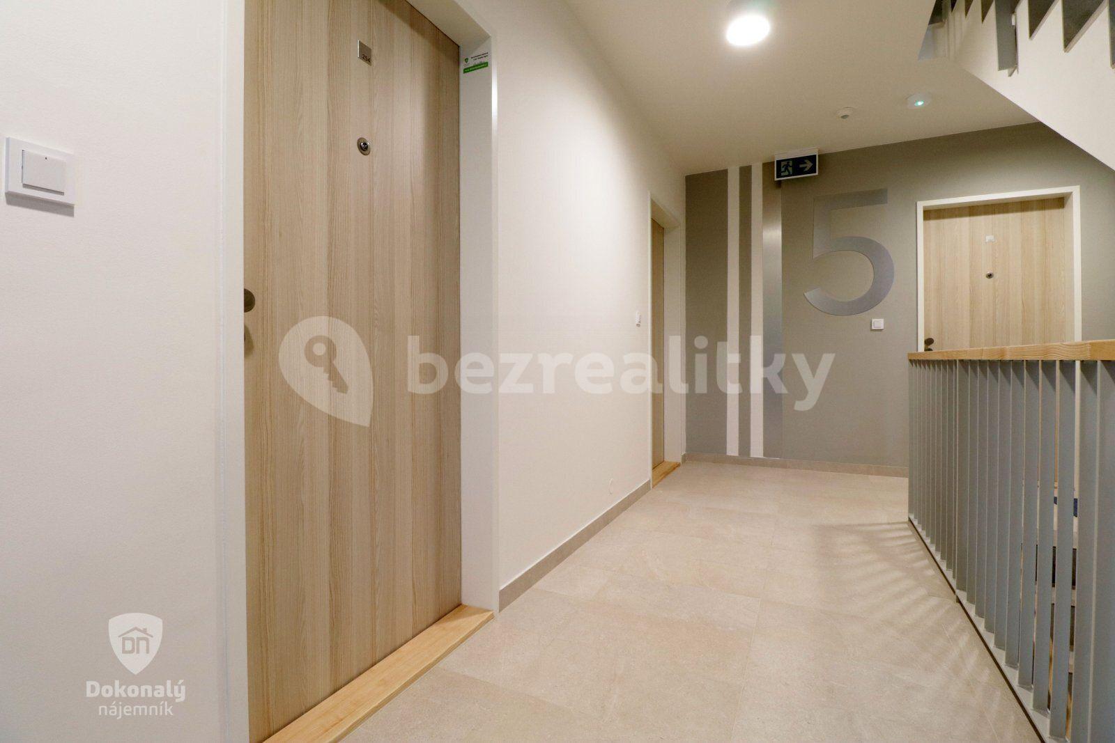 1 bedroom with open-plan kitchen flat to rent, 57 m², Hrašeho, Prague, Prague