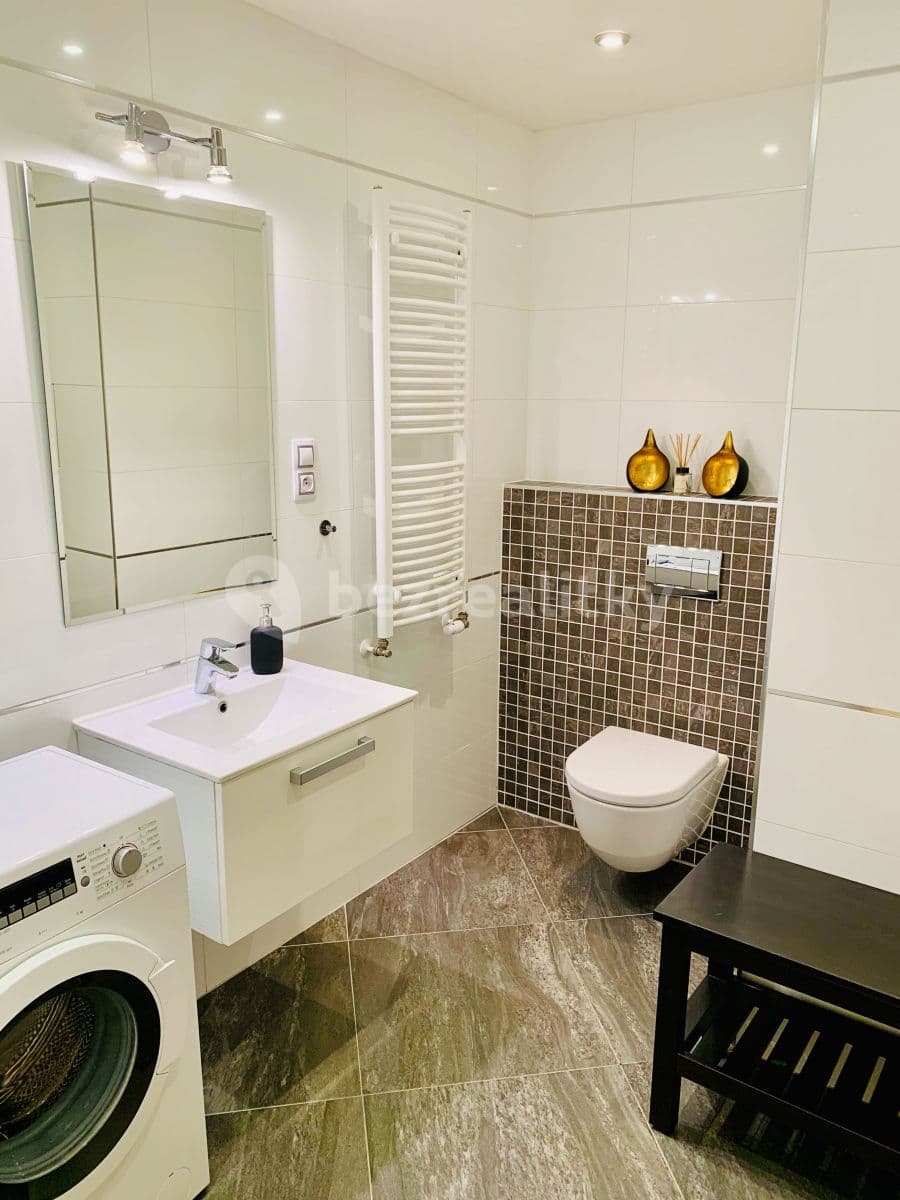 1 bedroom with open-plan kitchen flat to rent, 71 m², Olšanská, Prague, Prague 1 bedroom with open-plan kitchen flat to rent, 71 m², Olšanská, Prague, Prague