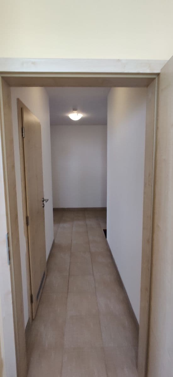 1 bedroom with open-plan kitchen flat to rent, 53 m², U Uhříněveské obory, Prague, Prague 1 bedroom with open-plan kitchen flat to rent, 53 m², U Uhříněveské obory, Prague, Prague