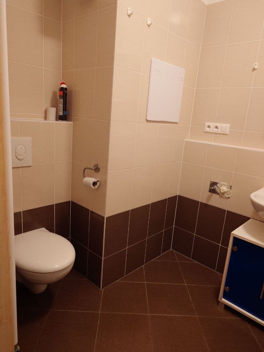 1 bedroom with open-plan kitchen flat to rent, 53 m², U Uhříněveské obory, Prague, Prague 1 bedroom with open-plan kitchen flat to rent, 53 m², U Uhříněveské obory, Prague, Prague