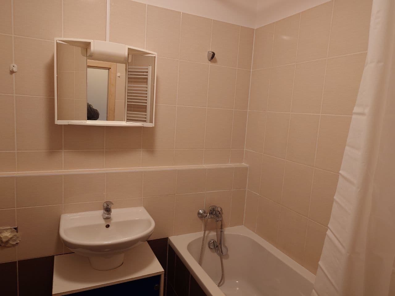 1 bedroom with open-plan kitchen flat to rent, 53 m², U Uhříněveské obory, Prague, Prague 1 bedroom with open-plan kitchen flat to rent, 53 m², U Uhříněveské obory, Prague, Prague