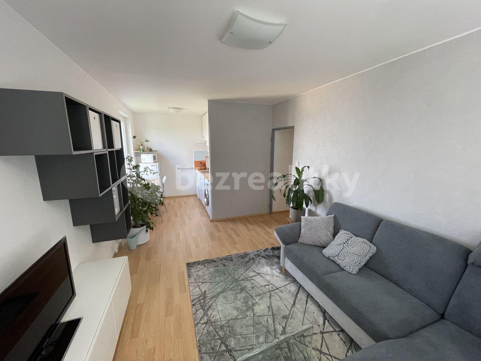 1 bedroom with open-plan kitchen flat to rent, 43 m², Prague, Prague