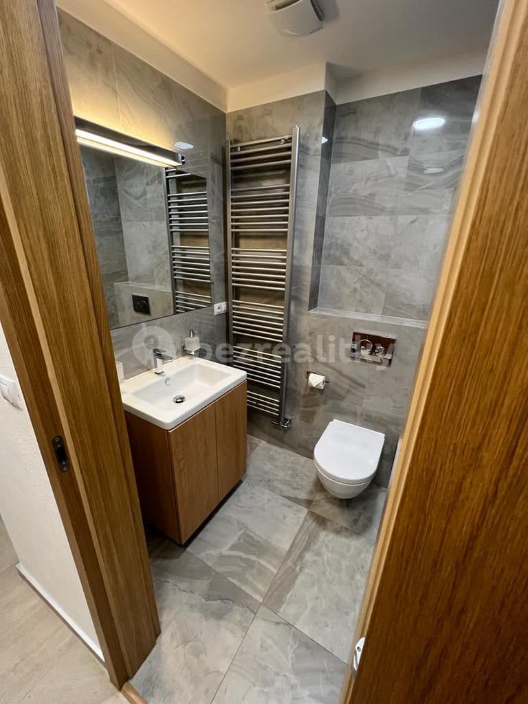 1 bedroom with open-plan kitchen flat to rent, 45 m², Šumavská, Brno, Jihomoravský Region 1 bedroom with open-plan kitchen flat to rent, 45 m², Šumavská, Brno, Jihomoravský Region