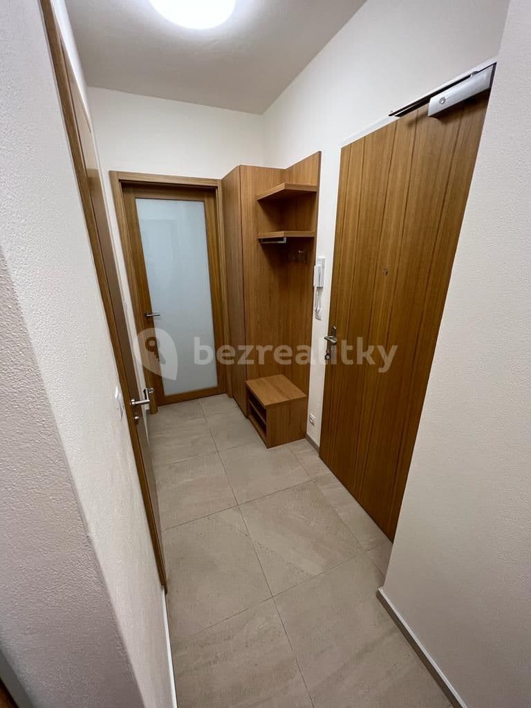 1 bedroom with open-plan kitchen flat to rent, 45 m², Šumavská, Brno, Jihomoravský Region 1 bedroom with open-plan kitchen flat to rent, 45 m², Šumavská, Brno, Jihomoravský Region