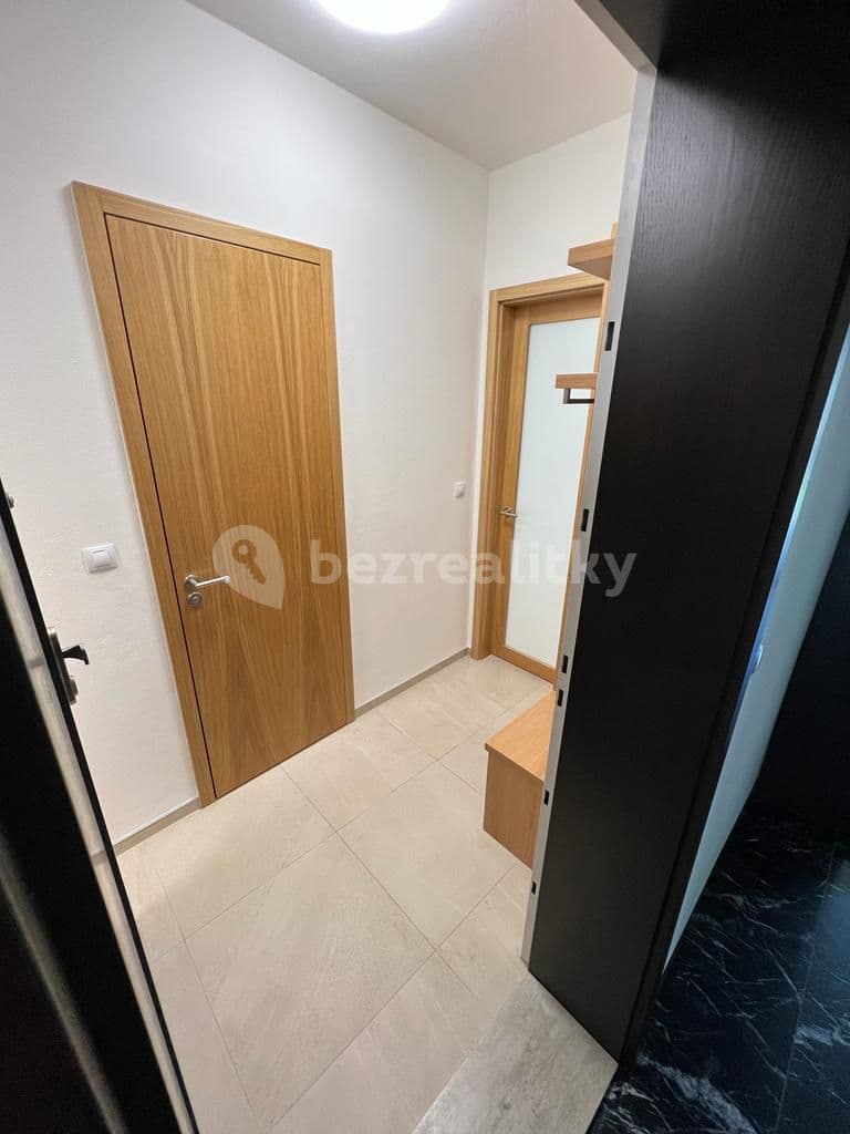 1 bedroom with open-plan kitchen flat to rent, 45 m², Šumavská, Brno, Jihomoravský Region 1 bedroom with open-plan kitchen flat to rent, 45 m², Šumavská, Brno, Jihomoravský Region