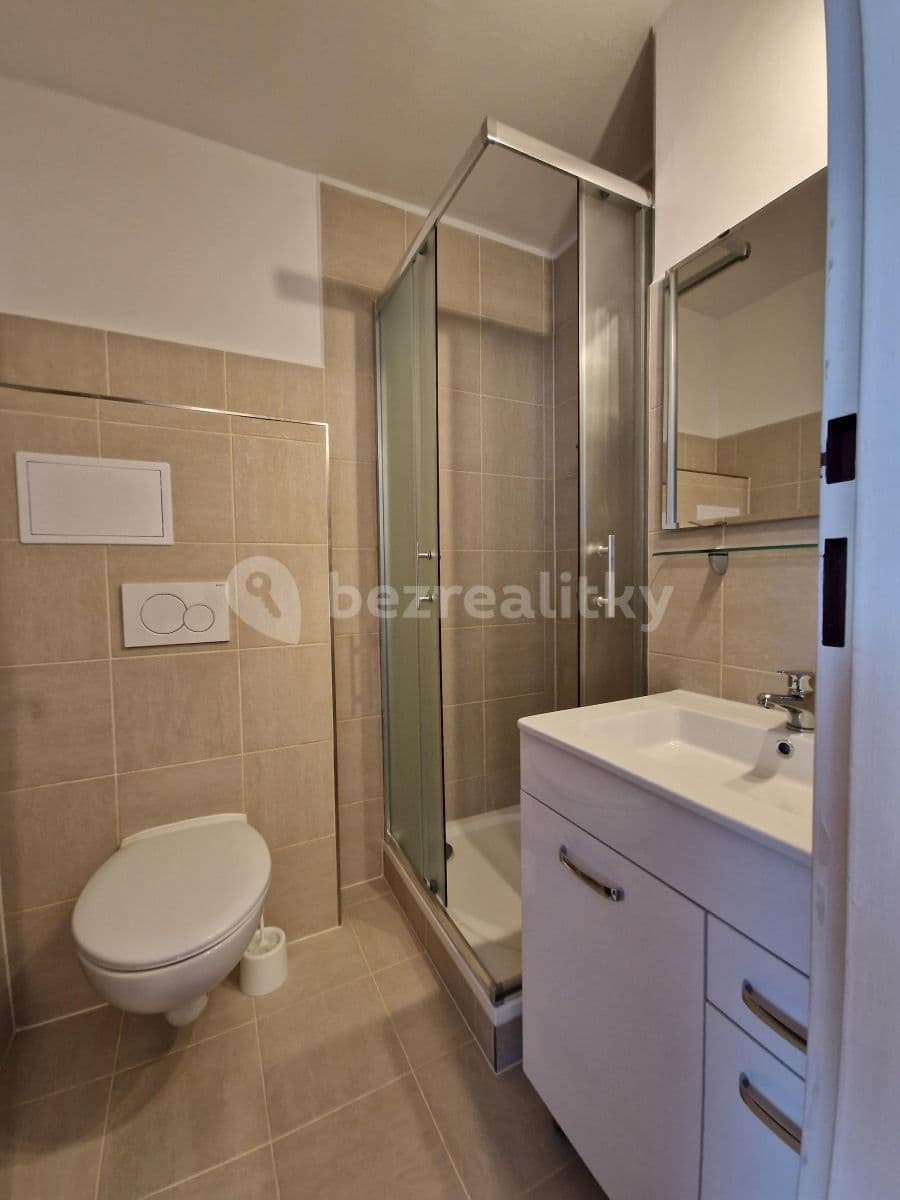 Studio flat to rent, 24 m², Vratislavova, Prague, Prague Studio flat to rent, 24 m², Vratislavova, Prague, Prague