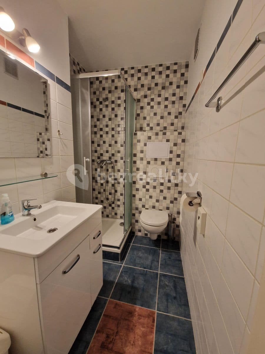 Studio flat to rent, 26 m², Vratislavova, Prague, Prague Studio flat to rent, 26 m², Vratislavova, Prague, Prague