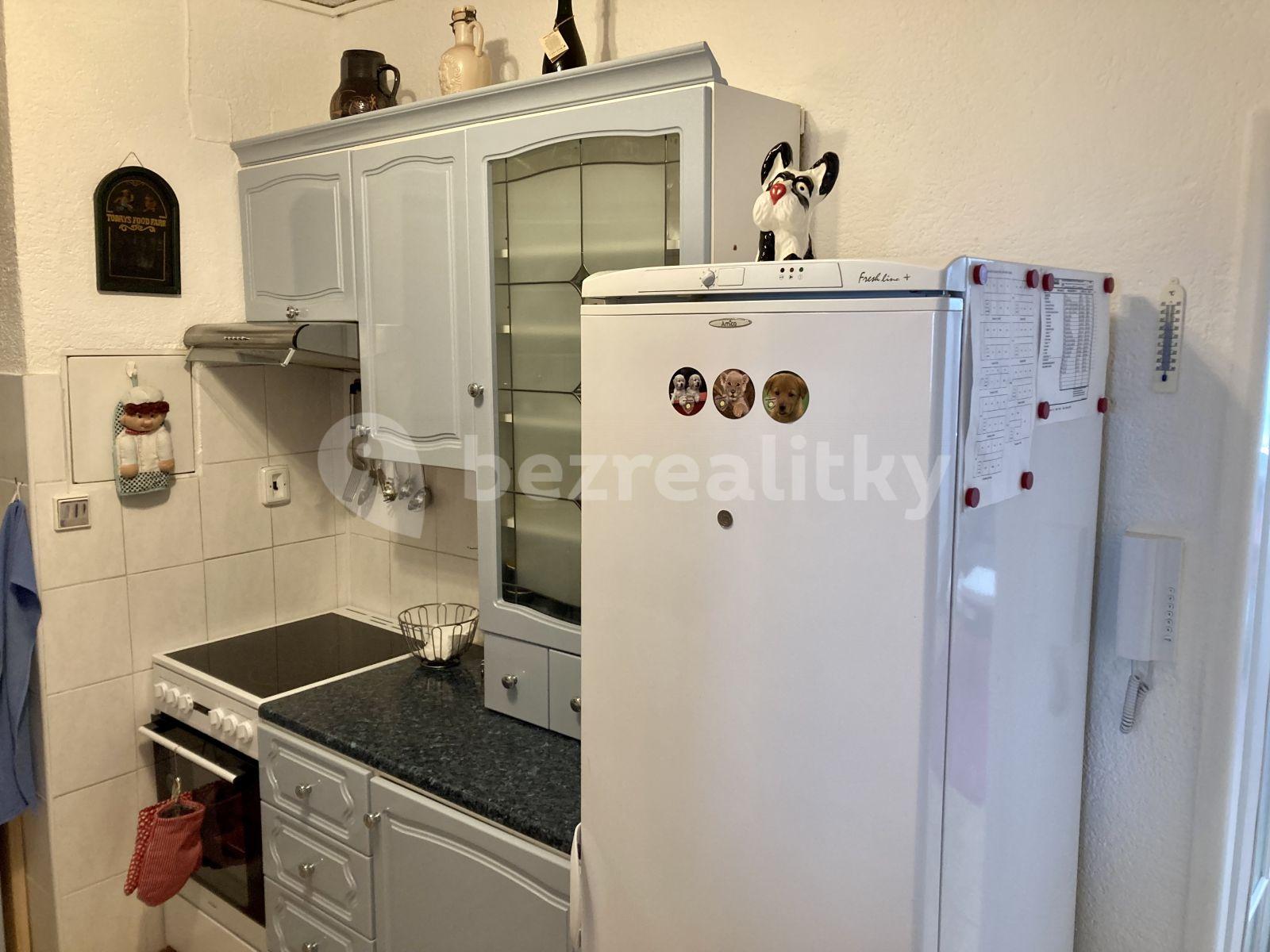 1 bedroom with open-plan kitchen flat to rent, 39 m², Cukrovarská, Prague, Prague