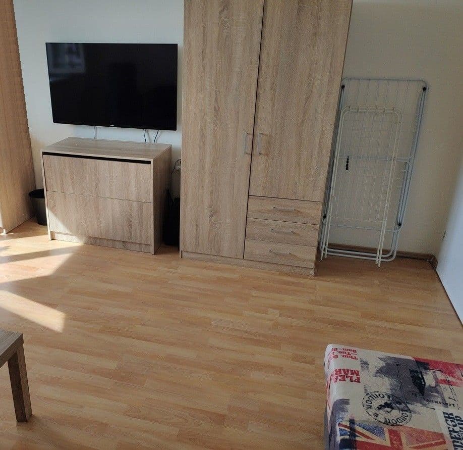 1 bedroom with open-plan kitchen flat to rent, 35 m², Střelničná, Prague, Prague 1 bedroom with open-plan kitchen flat to rent, 35 m², Střelničná, Prague, Prague