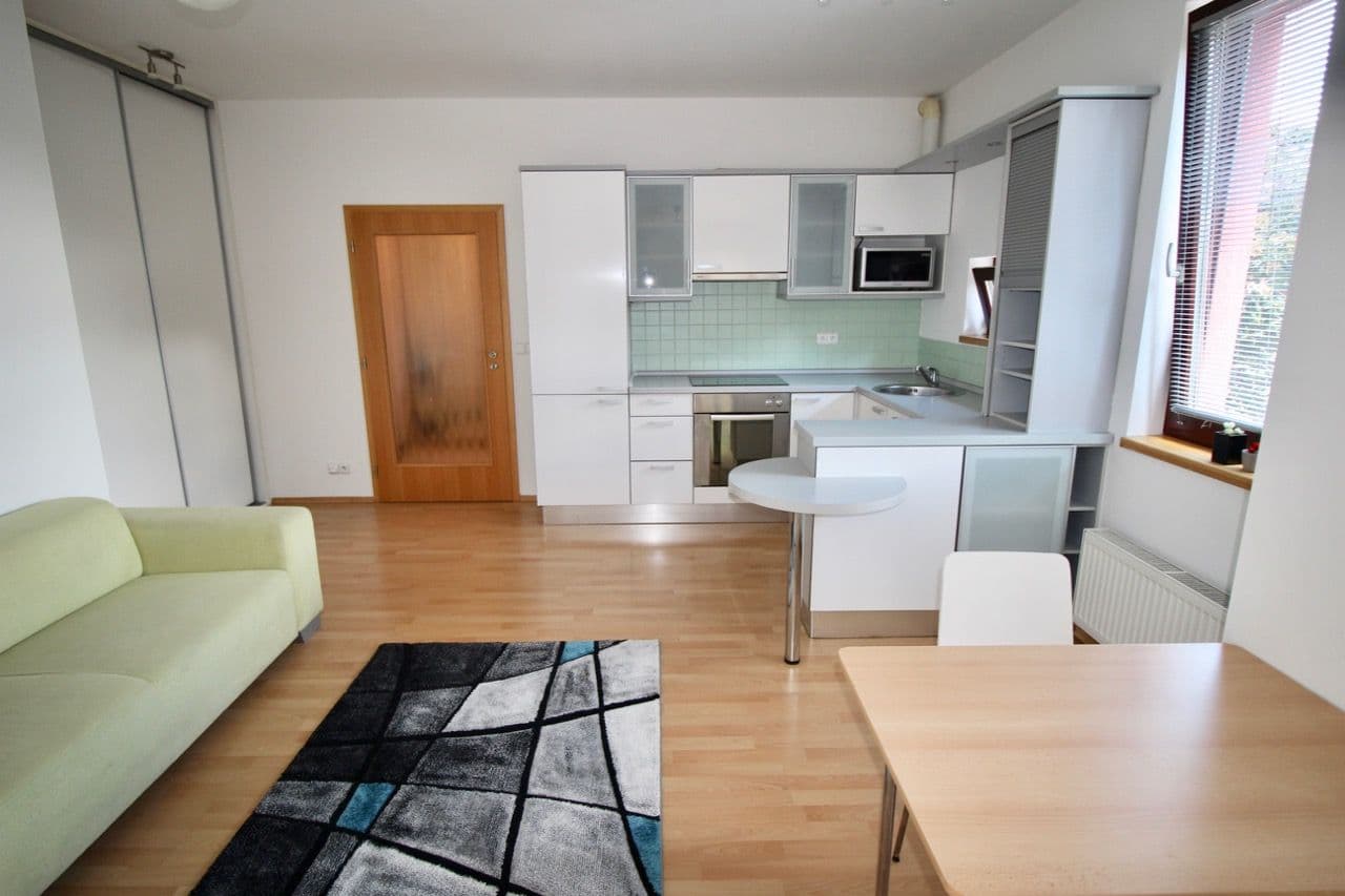 Studio flat to rent, 44 m², Pod Klamovkou, Prague, Prague Studio flat to rent, 44 m², Pod Klamovkou, Prague, Prague