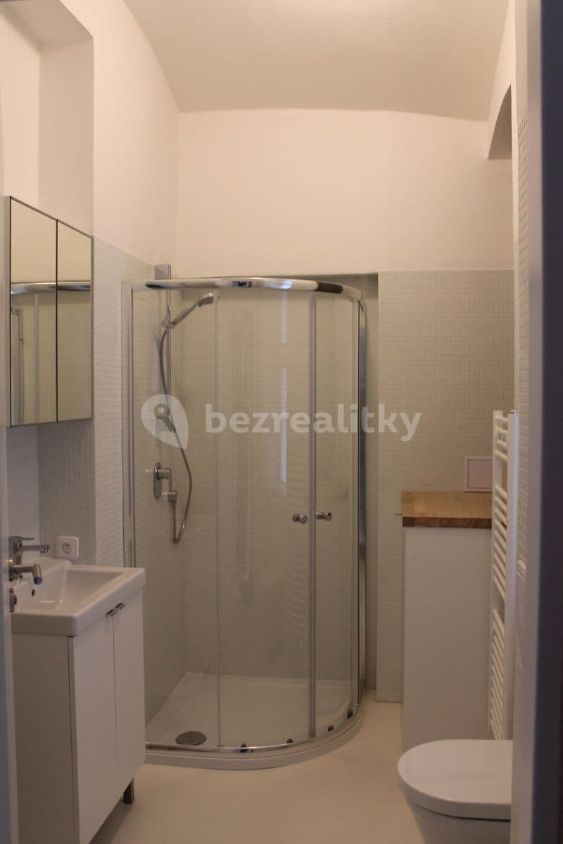 1 bedroom with open-plan kitchen flat to rent, 42 m², Janáčkovo nábřeží, Prague, Prague 1 bedroom with open-plan kitchen flat to rent, 42 m², Janáčkovo nábřeží, Prague, Prague