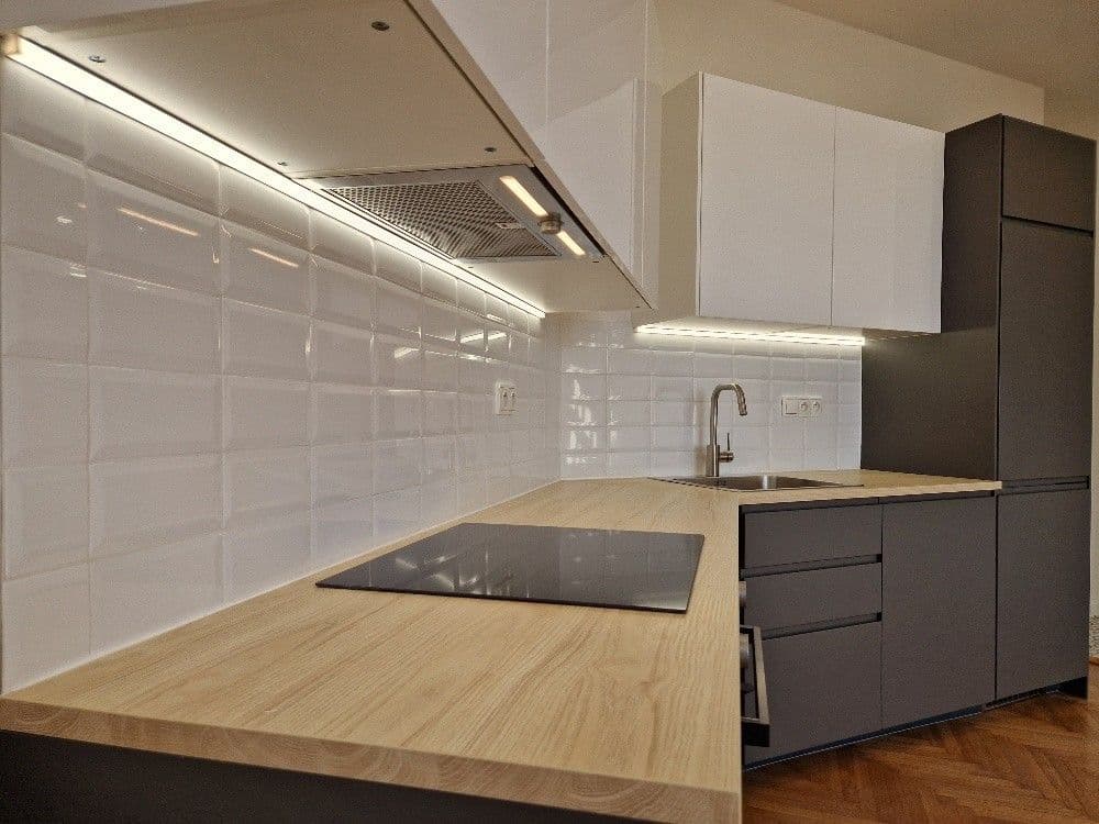 1 bedroom with open-plan kitchen flat to rent, 50 m², Smolenská, Prague, Prague 1 bedroom with open-plan kitchen flat to rent, 50 m², Smolenská, Prague, Prague