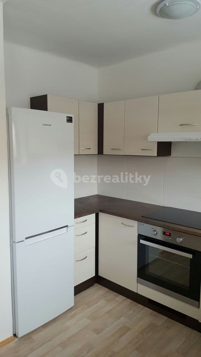 1 bedroom with open-plan kitchen flat to rent, 45 m², Opuková, Prague, Prague 1 bedroom with open-plan kitchen flat to rent, 45 m², Opuková, Prague, Prague
