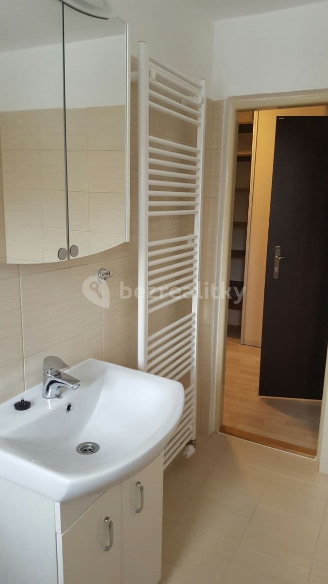 1 bedroom with open-plan kitchen flat to rent, 45 m², Opuková, Prague, Prague 1 bedroom with open-plan kitchen flat to rent, 45 m², Opuková, Prague, Prague