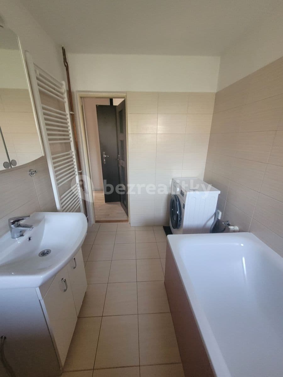 1 bedroom with open-plan kitchen flat to rent, 45 m², Opuková, Prague, Prague 1 bedroom with open-plan kitchen flat to rent, 45 m², Opuková, Prague, Prague