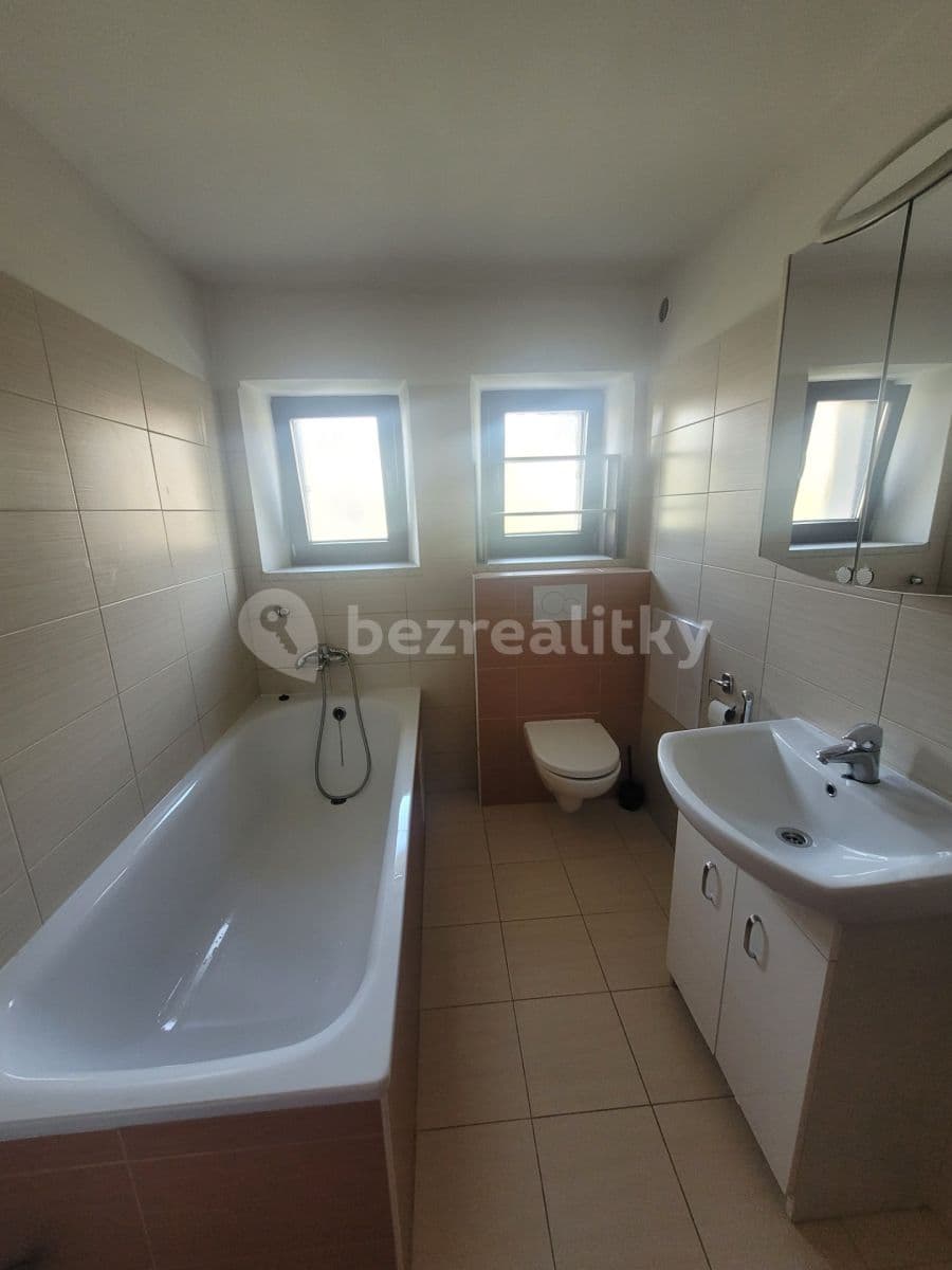 1 bedroom with open-plan kitchen flat to rent, 45 m², Opuková, Prague, Prague 1 bedroom with open-plan kitchen flat to rent, 45 m², Opuková, Prague, Prague