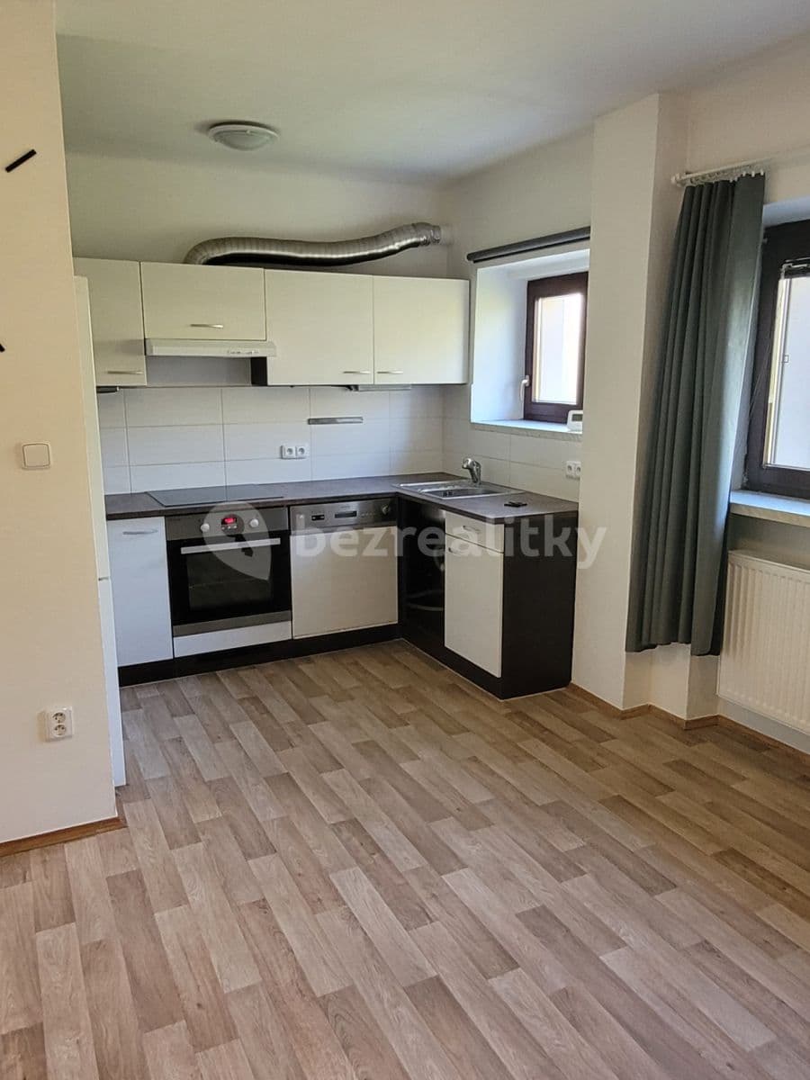 1 bedroom with open-plan kitchen flat to rent, 45 m², Opuková, Prague, Prague 1 bedroom with open-plan kitchen flat to rent, 45 m², Opuková, Prague, Prague