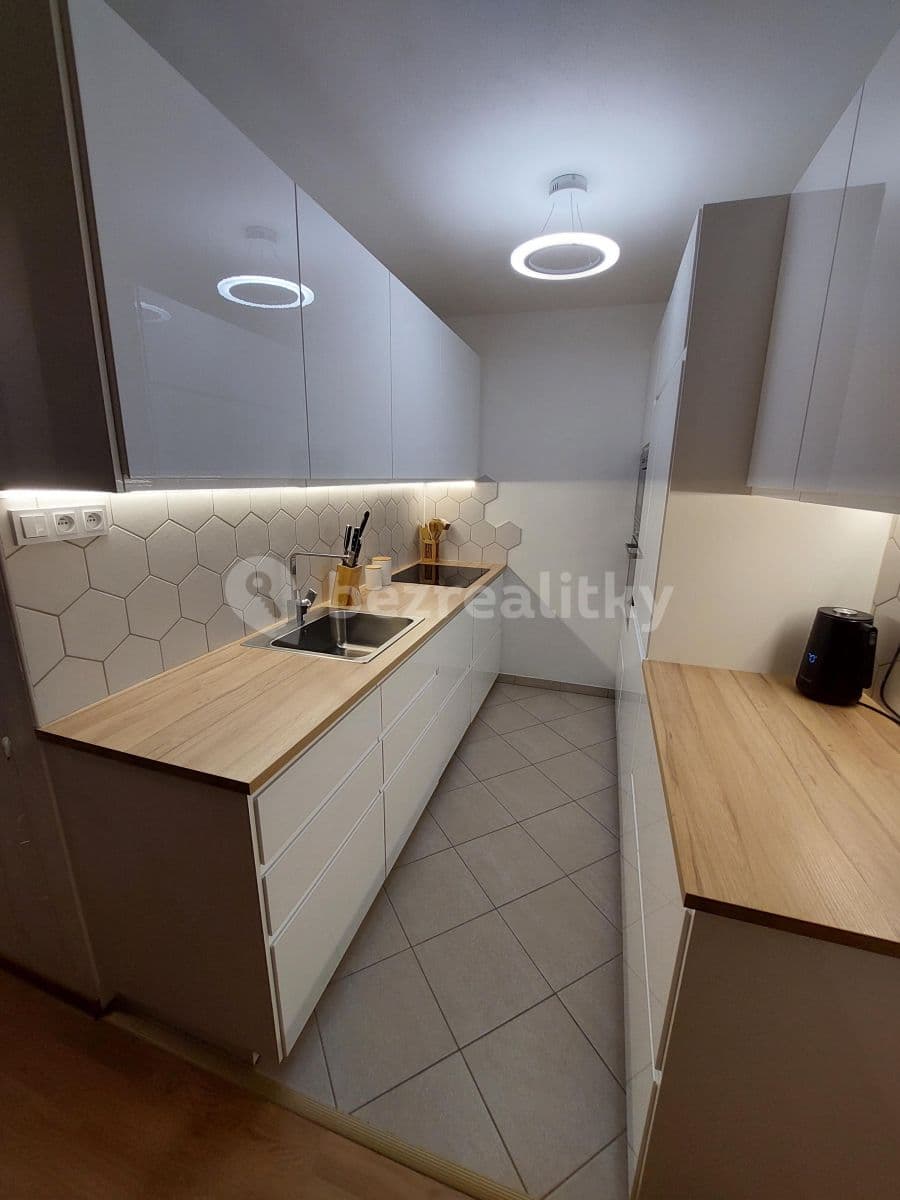 1 bedroom with open-plan kitchen flat to rent, 44 m², Zvoncovitá, Prague, Prague 1 bedroom with open-plan kitchen flat to rent, 44 m², Zvoncovitá, Prague, Prague