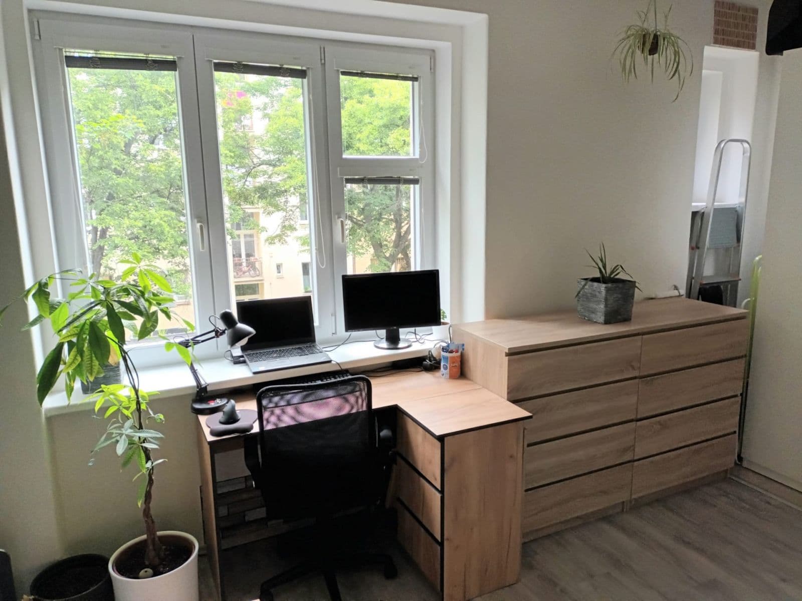 Studio flat to rent, 28 m², Olgy Havlové, Prague, Prague Studio flat to rent, 28 m², Olgy Havlové, Prague, Prague