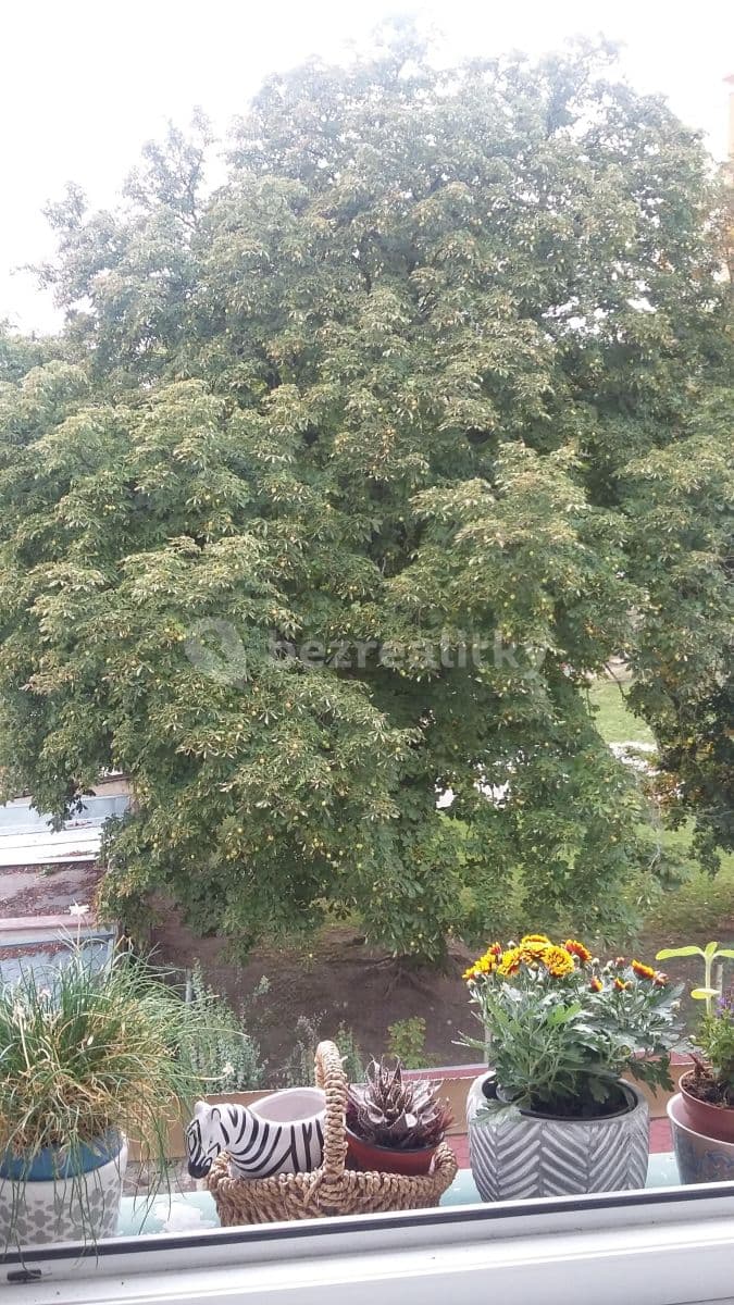 Studio flat to rent, 40 m², V Hlinkách, Beroun, Středočeský Region Studio flat to rent, 40 m², V Hlinkách, Beroun, Středočeský Region