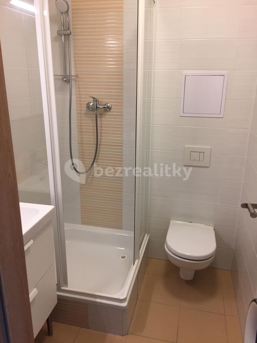 Studio flat to rent, 29 m², U Slovanky, Prague, Prague Studio flat to rent, 29 m², U Slovanky, Prague, Prague