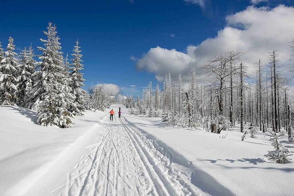 recreational property to rent, 0 m², Hamry, Plzeňský Region recreational property to rent, 0 m², Hamry, Plzeňský Region