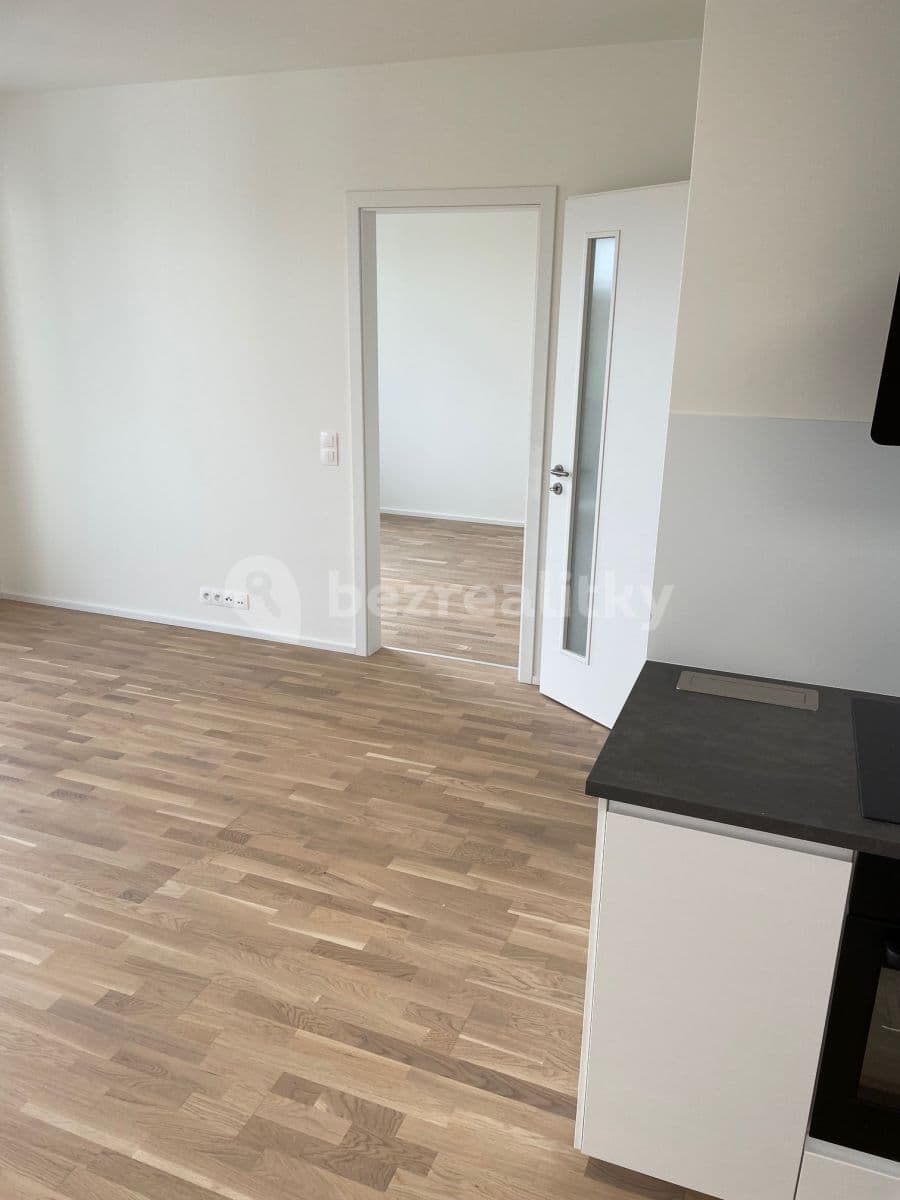 1 bedroom with open-plan kitchen flat to rent, 52 m², Prague, Prague 1 bedroom with open-plan kitchen flat to rent, 52 m², Prague, Prague