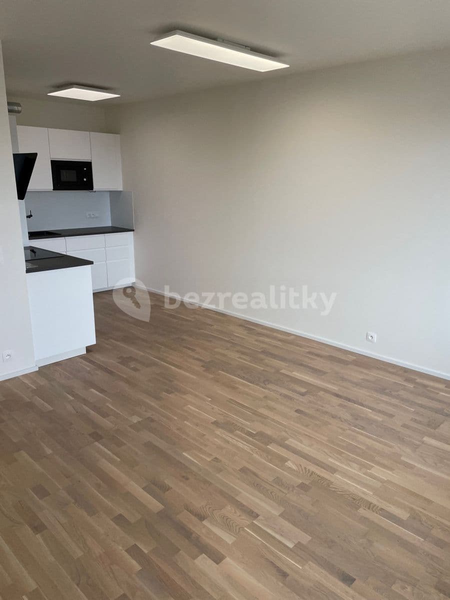 1 bedroom with open-plan kitchen flat to rent, 52 m², Prague, Prague 1 bedroom with open-plan kitchen flat to rent, 52 m², Prague, Prague