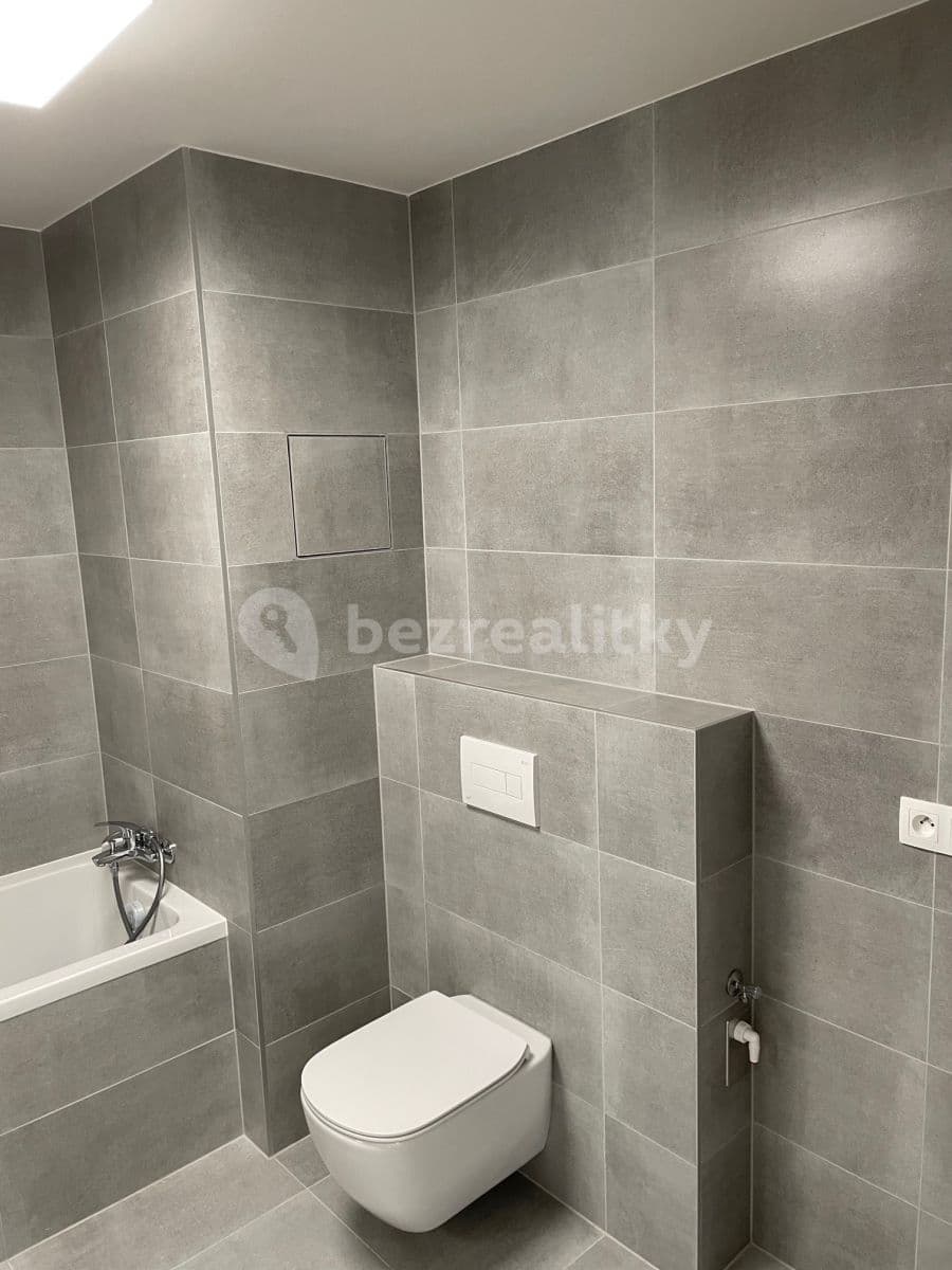 1 bedroom with open-plan kitchen flat to rent, 52 m², Prague, Prague 1 bedroom with open-plan kitchen flat to rent, 52 m², Prague, Prague