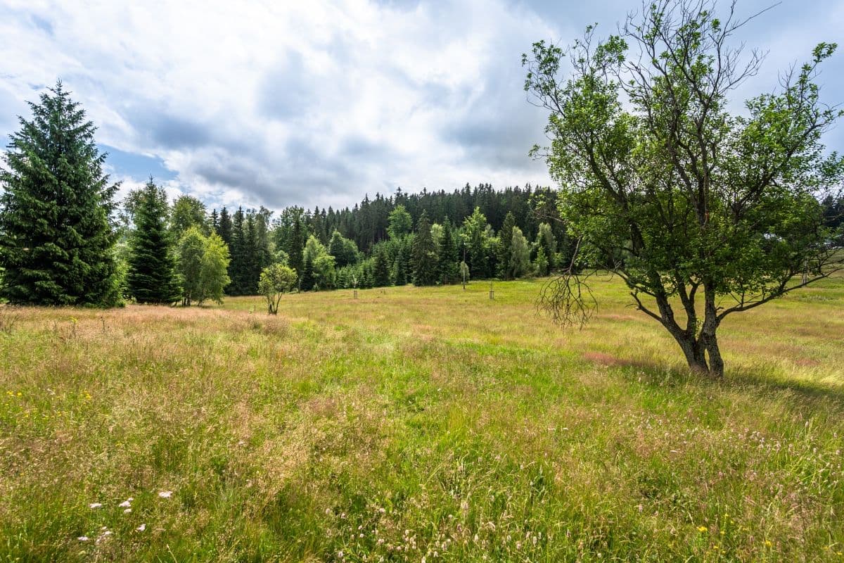 recreational property for sale, 11,250 m², Kořenov, Liberecký Region recreational property for sale, 11,250 m², Kořenov, Liberecký Region