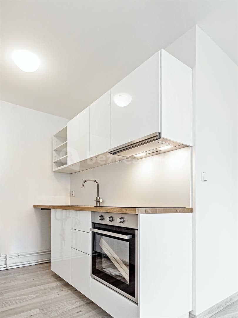 1 bedroom with open-plan kitchen flat to rent, 42 m², Brandýs nad Labem-Stará Boleslav, Středočeský Region 1 bedroom with open-plan kitchen flat to rent, 42 m², Brandýs nad Labem-Stará Boleslav, Středočeský Region