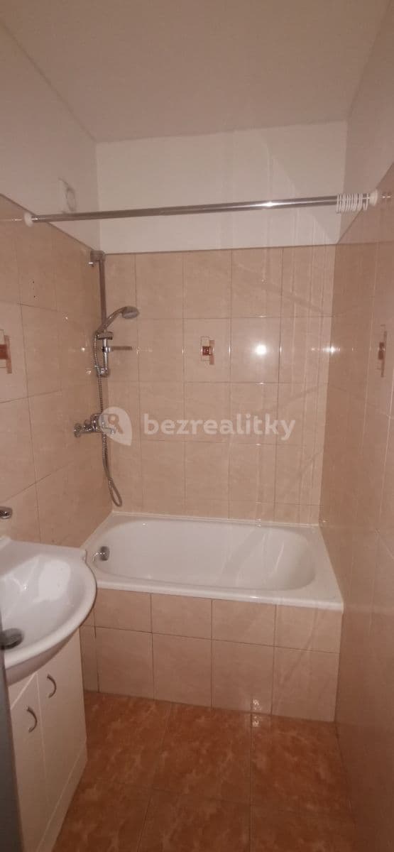 1 bedroom with open-plan kitchen flat to rent, 44 m², Papírenská, České Budějovice, Jihočeský Region 1 bedroom with open-plan kitchen flat to rent, 44 m², Papírenská, České Budějovice, Jihočeský Region