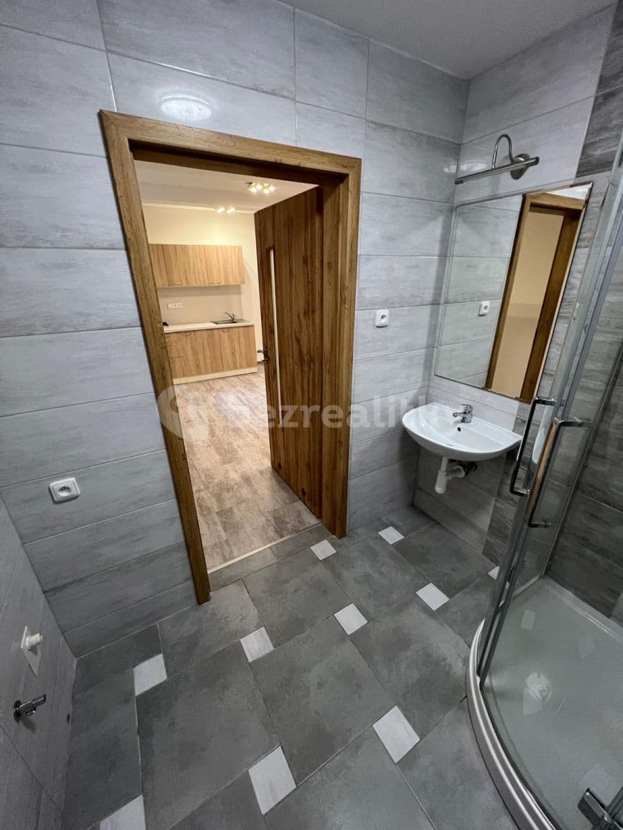 Studio flat to rent, 30 m², Netušilova, Brno, Jihomoravský Region Studio flat to rent, 30 m², Netušilova, Brno, Jihomoravský Region