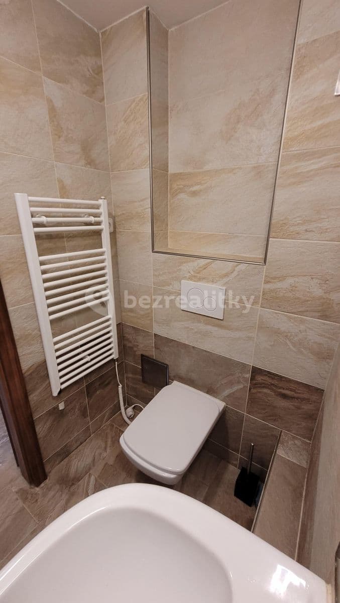 1 bedroom with open-plan kitchen flat to rent, 42 m², U Libeňského pivovaru, Prague, Prague 1 bedroom with open-plan kitchen flat to rent, 42 m², U Libeňského pivovaru, Prague, Prague