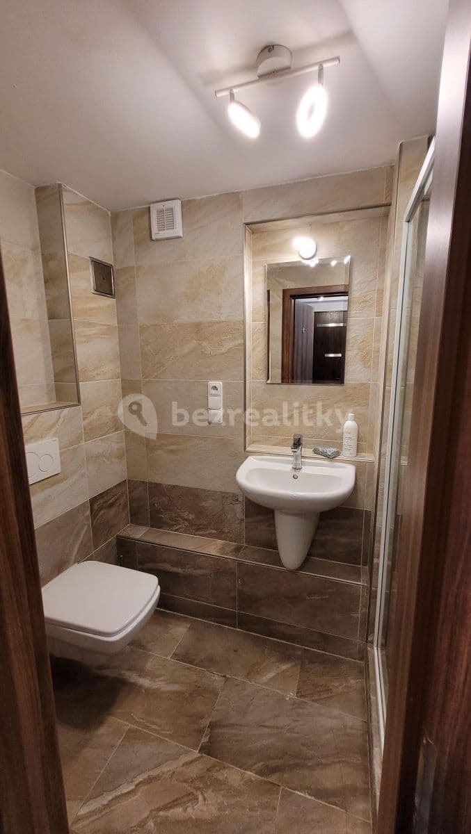 1 bedroom with open-plan kitchen flat to rent, 42 m², U Libeňského pivovaru, Prague, Prague 1 bedroom with open-plan kitchen flat to rent, 42 m², U Libeňského pivovaru, Prague, Prague