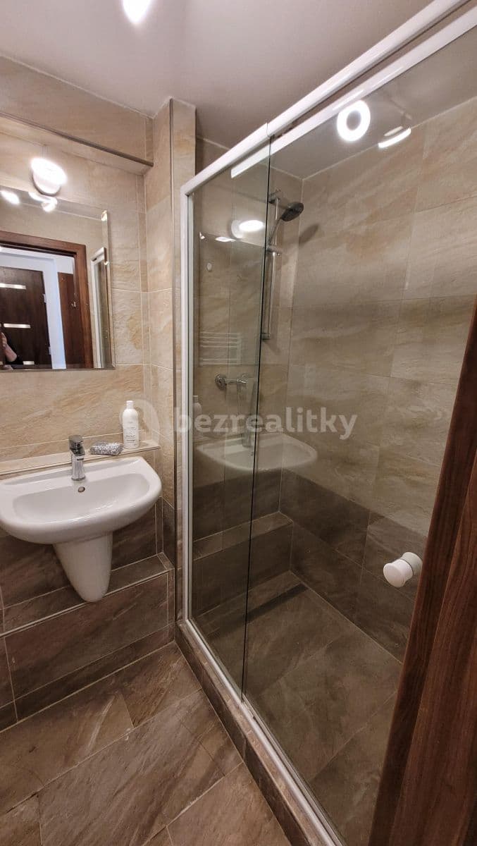 1 bedroom with open-plan kitchen flat to rent, 42 m², U Libeňského pivovaru, Prague, Prague 1 bedroom with open-plan kitchen flat to rent, 42 m², U Libeňského pivovaru, Prague, Prague