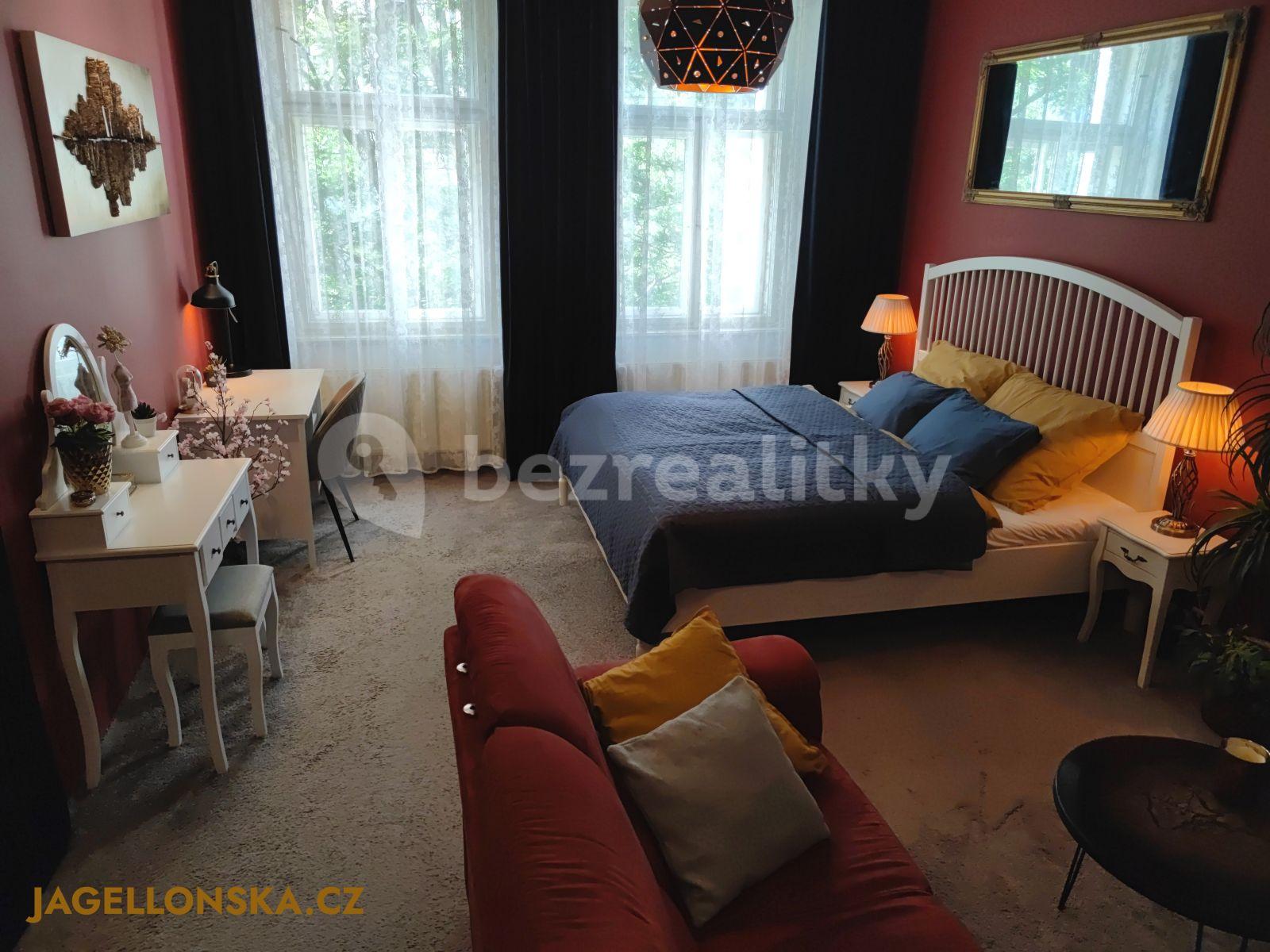 1 bedroom with open-plan kitchen flat to rent, 50 m², Jagellonská, Prague, Prague