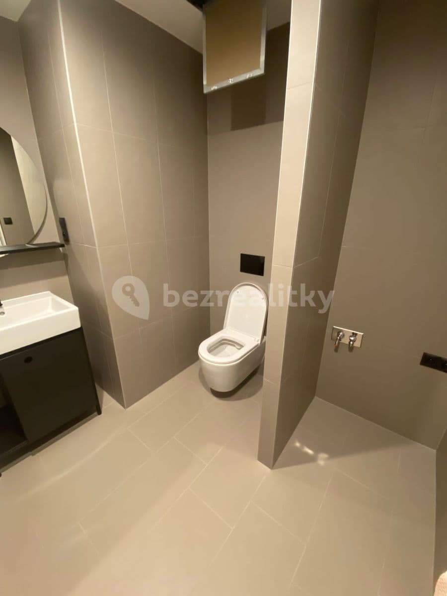 1 bedroom with open-plan kitchen flat to rent, 56 m², Ramonova, Prague, Prague 1 bedroom with open-plan kitchen flat to rent, 56 m², Ramonova, Prague, Prague
