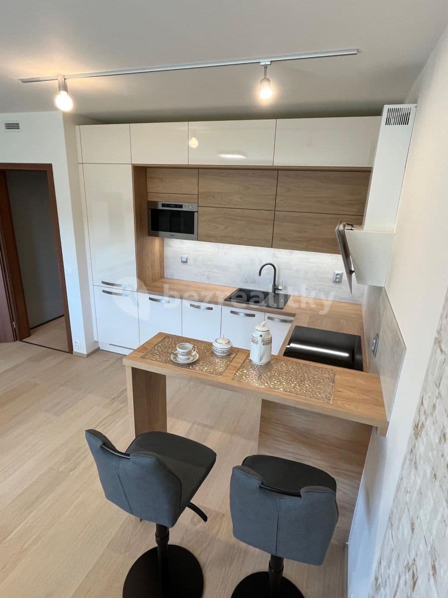 Studio flat to rent, 42 m², Vorařská, Prague, Prague Studio flat to rent, 42 m², Vorařská, Prague, Prague