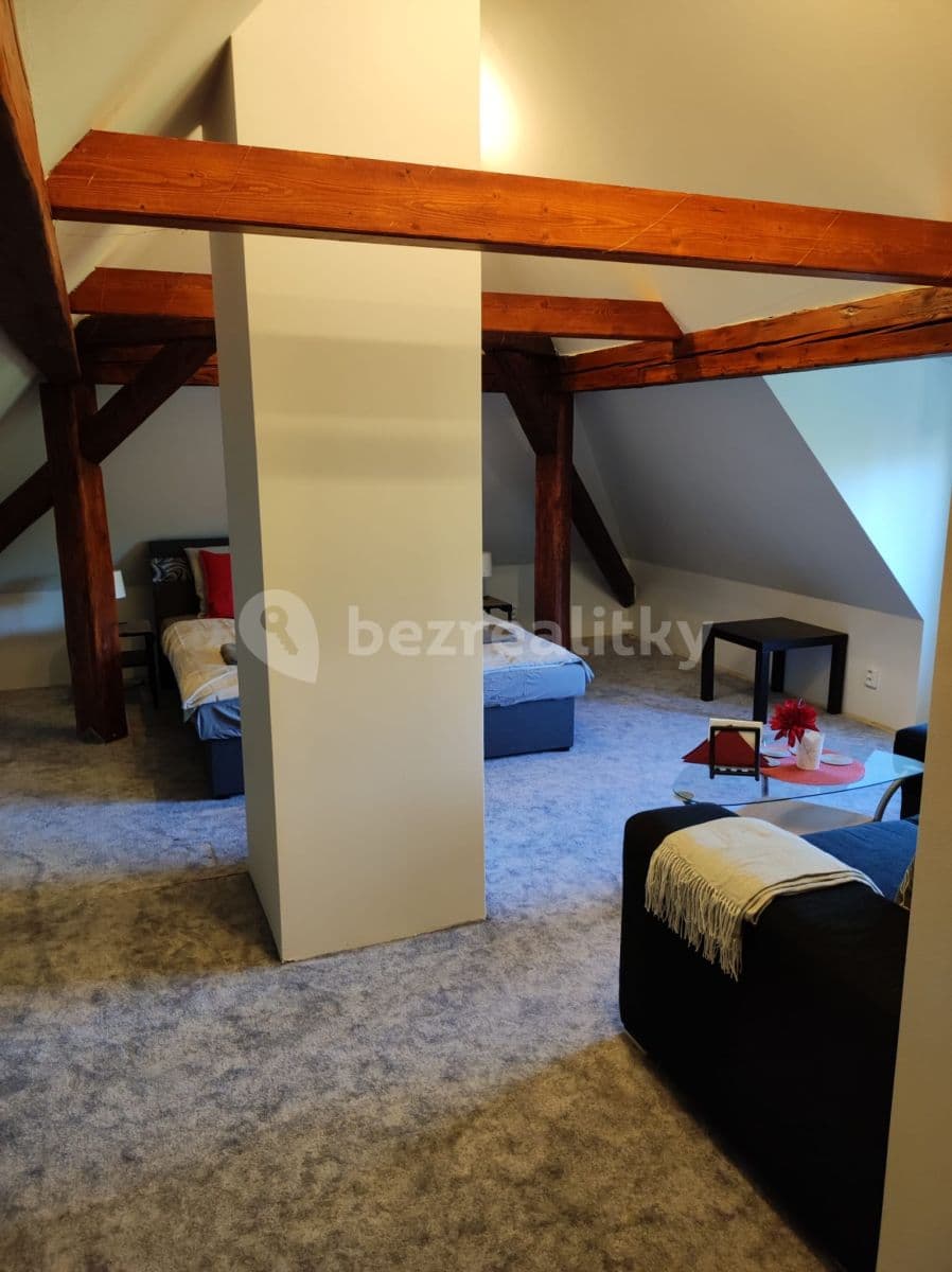 1 bedroom flat to rent, 70 m², Nový Jáchymov, Středočeský Region