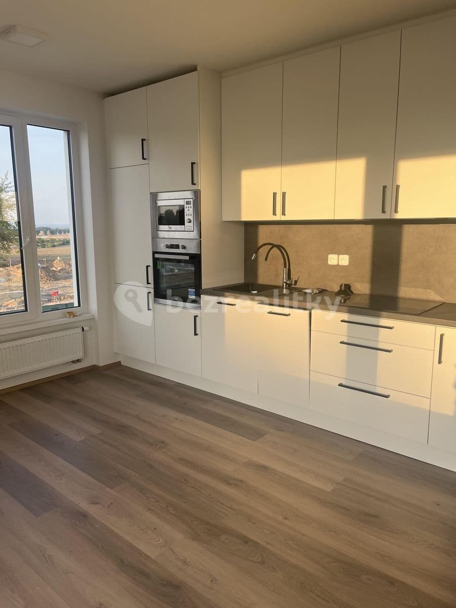 1 bedroom with open-plan kitchen flat to rent, 47 m², U Spojů, Prague, Prague 1 bedroom with open-plan kitchen flat to rent, 47 m², U Spojů, Prague, Prague