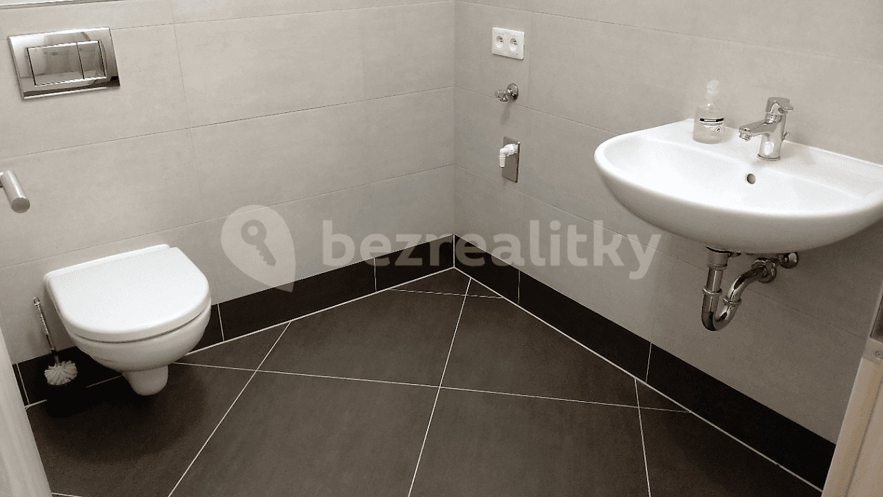 1 bedroom with open-plan kitchen flat to rent, 51 m², K Metru, Prague, Prague 1 bedroom with open-plan kitchen flat to rent, 51 m², K Metru, Prague, Prague