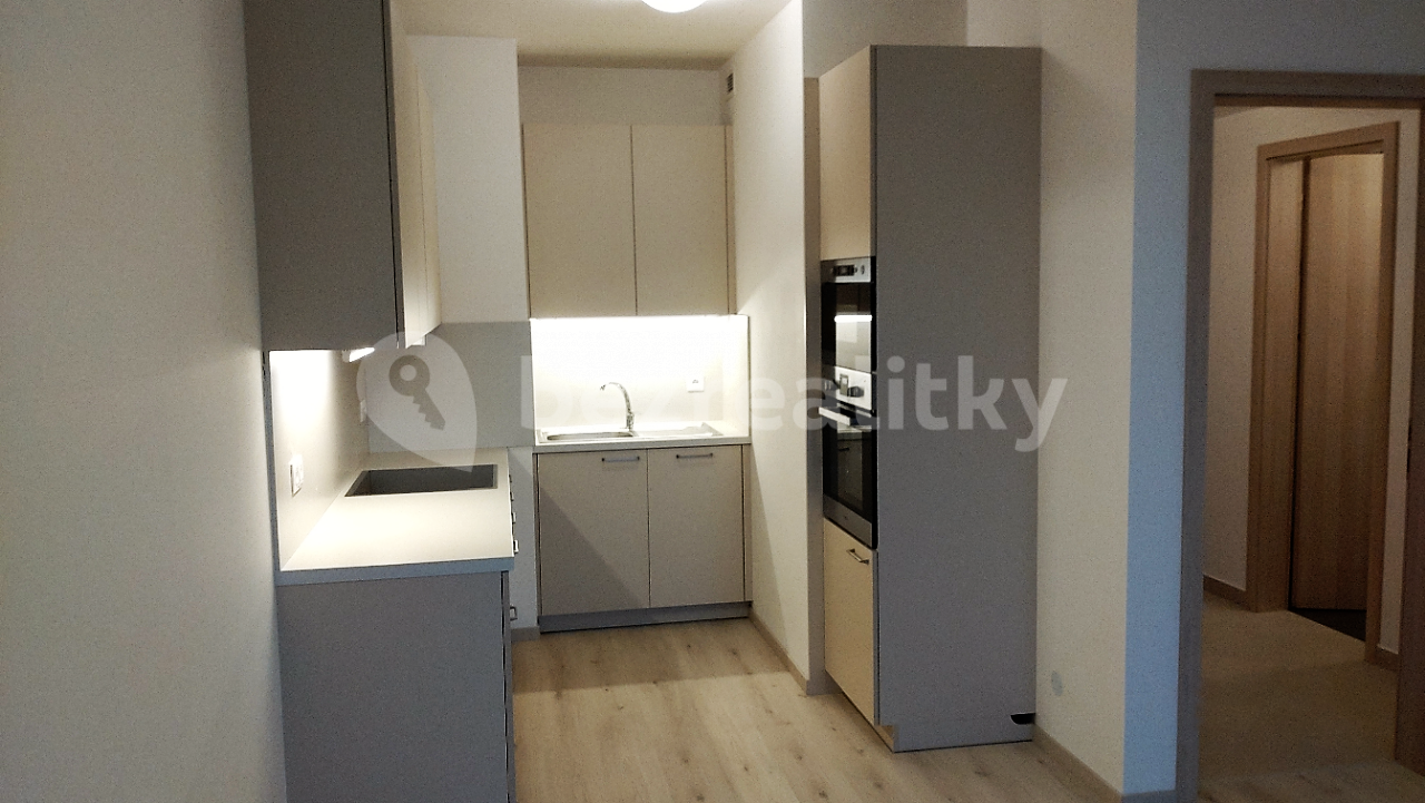 1 bedroom with open-plan kitchen flat to rent, 51 m², K Metru, Prague, Prague